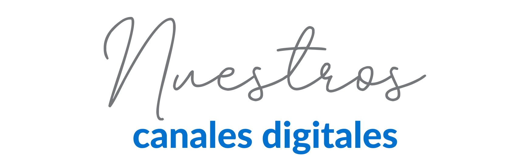 Nuestros canales digitales